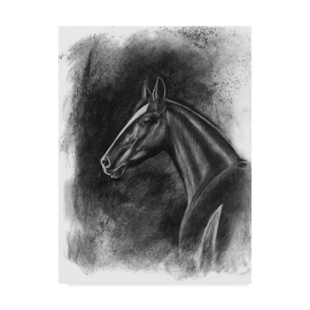 Naomi Mccavitt 'Charcoal Equestrian Portrait Ii' Canvas Art,14x19